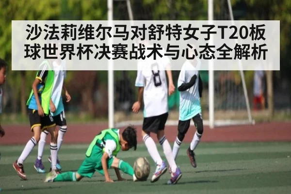 沙法莉维尔马对舒特女子T20板球世界杯决赛战术与心态全解析